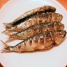 Grilled Sardines