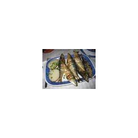 Grilled Sardines