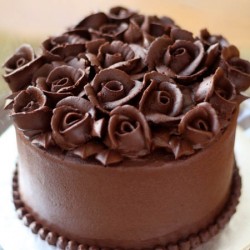 Deluxe Chocolate Cake