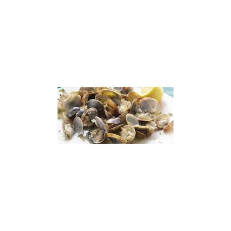 Clams Bulhao Pato