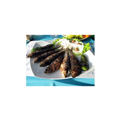 Sardinas Asadas