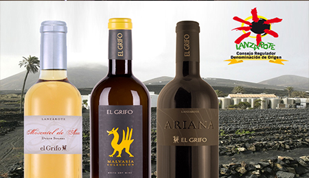 The Best Lanzarote Wine Tours - El Griffo Wine Tasting