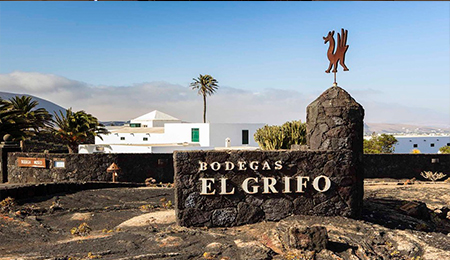 Visit La Bodega El Grigo - Wine Experience Lanzarote