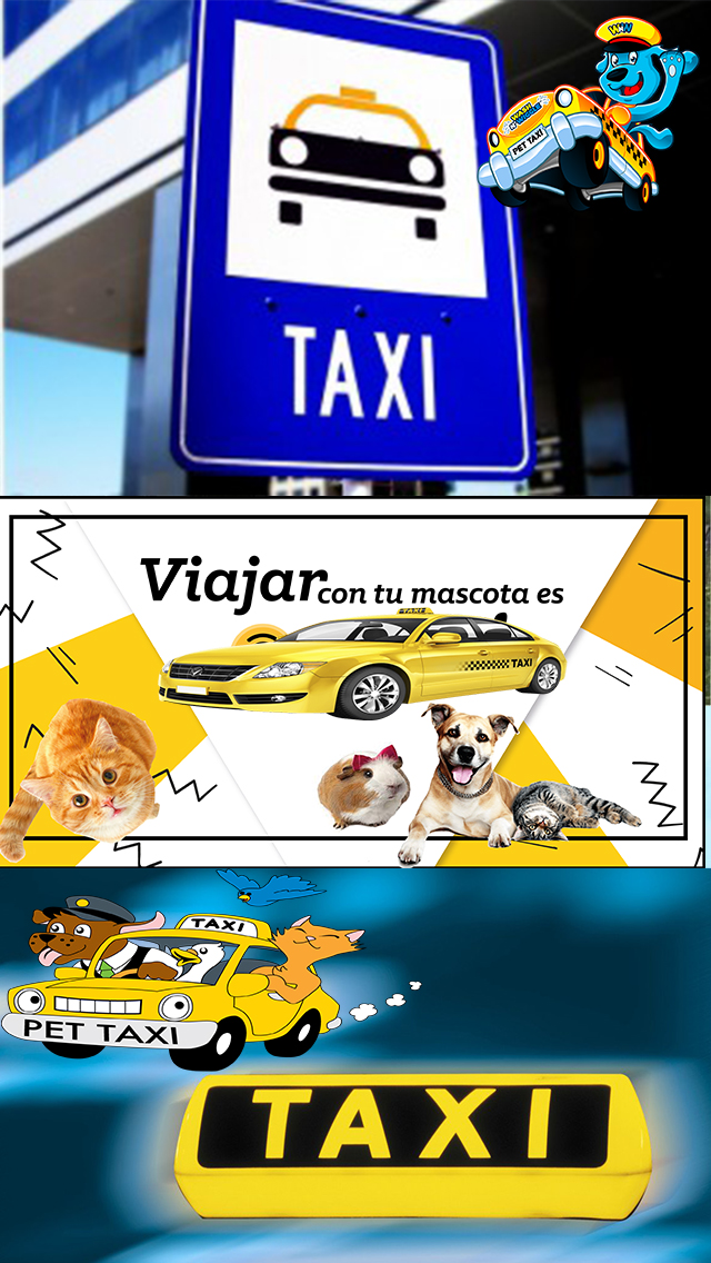 Travelling with Pets Playa Blanca - Taxi for Pets Playa Blanca - Pets to Vets Taxi Services Playa Blanca - Driver Airport Bookings - Taxi Ranks Playa Blanca Lanzarote Airport Transfer - Cabs Playa Blanca Lanzarote - Cars Rentals Playa Blanca Lanzarote - Private Drivers Playa Blanca Lanzarote - Taxi Ranks Services Airports - Taxi Ranks Cabs Playa Blanca Lanzarote - Taxi Ranks Playa Blanca- Taxi Ranks Arrecife Airport - Taxi Ranks Puerto del Carmen - Taxi Ranks Costa Teguise
